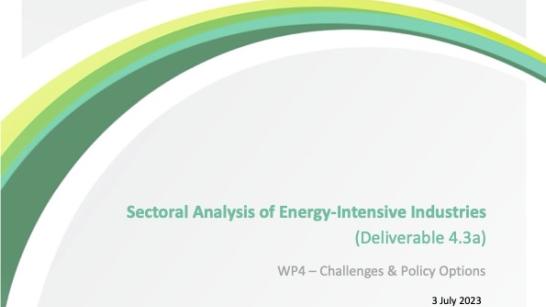 Sectoral Analysis of energy-intensive industries